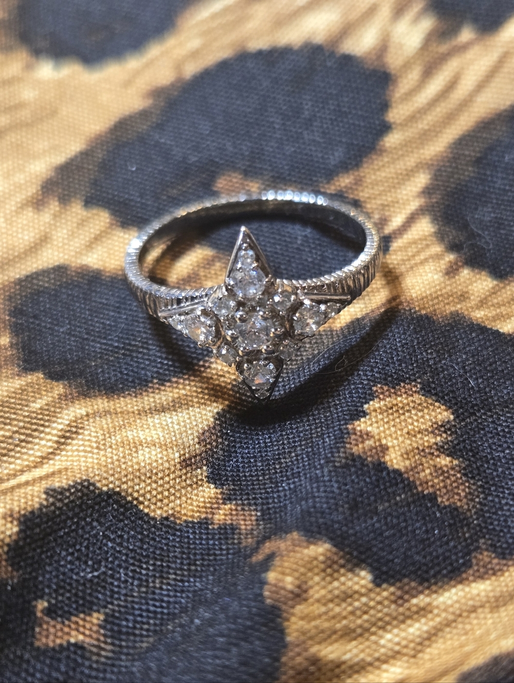 Raven James - Silver Nova Ring - Picture 12 of 16